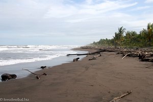 Strand bei der Turtle Beach Lodge