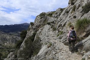 Wanderung um den Puig Roig auf Mallorca