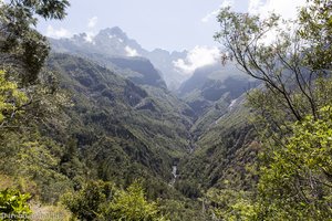 Blick in das Tal des Bras Rouge und den Piton des Neiges