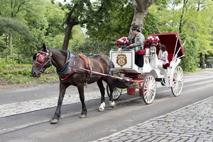 Pferdekutsche im Central Park