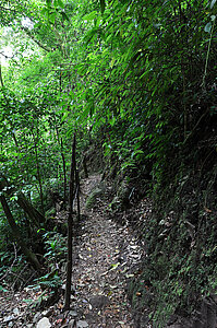 Der Wanderweg durch den Wald des El Tigre.