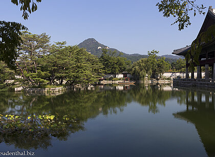 Blick über einen Teich beim Tempel Gyeongbokgung in Seoul