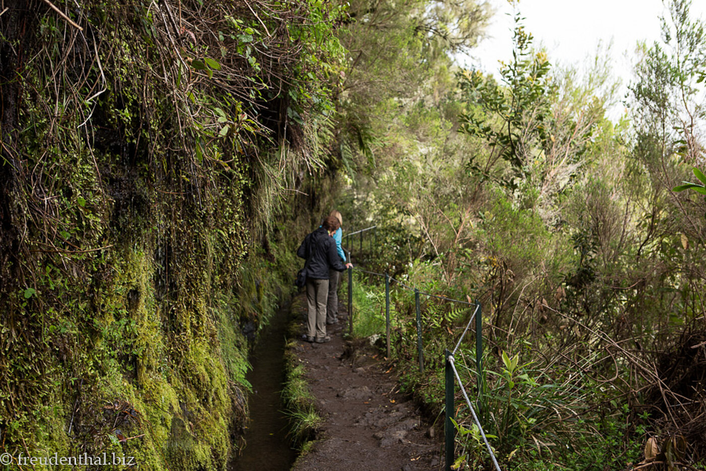 Wanderung an der Levada do Caldeirão Verde