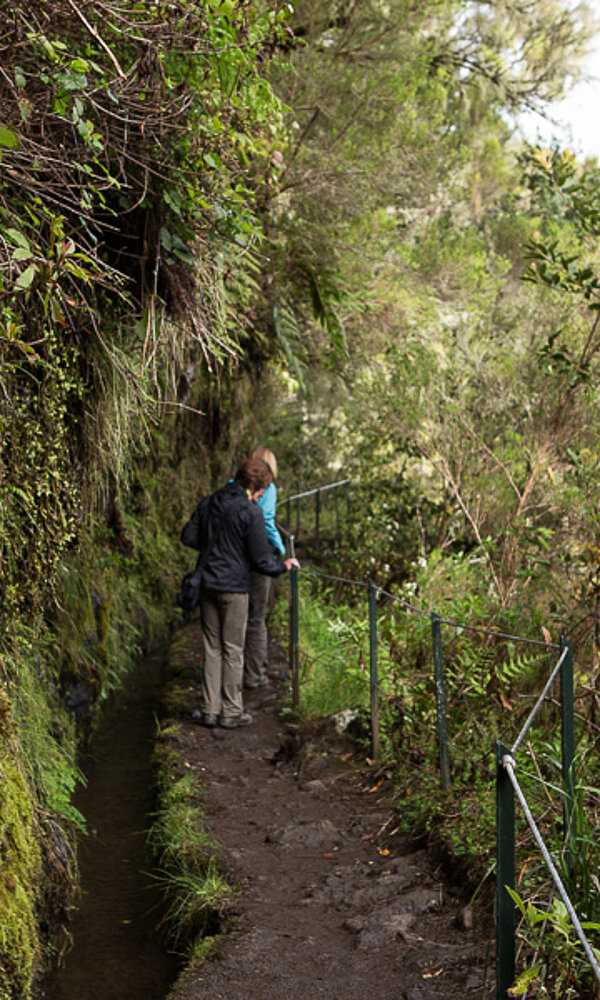 Wanderung an der Levada do Caldeirão Verde