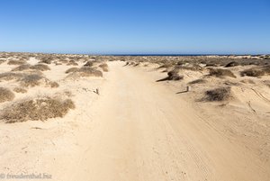 Eine wüstenhafte Landschaft auf La Graciosa