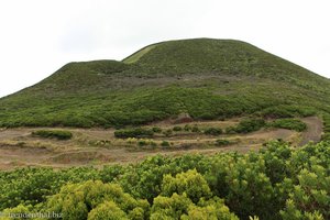 Cabeco do Canto