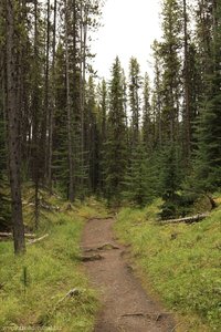 Wanderweg zum Elch-See