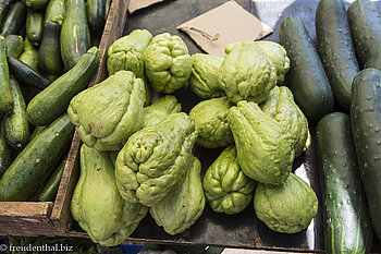 Frucht der Lianenpflanze Chayote (Sechium edule)