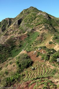 Berg zwischen Gongon und Sao Miguel