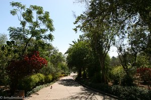 Voilá, der nächste Garten - in der Chellah von Rabat