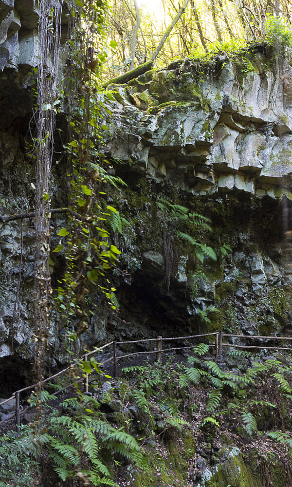 Caldera de Agua | Von Zarza in den Lorbeerwald
