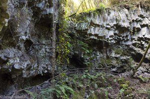 Caldera de Agua | Von Zarza in den Lorbeerwald