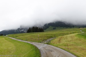 leider keine Aussicht zum Hohen Kasten