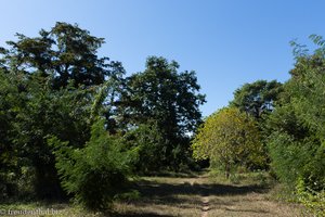 der schmale Pfad führt uns durch die Pampas