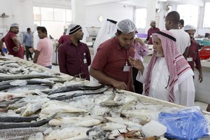 Fischverkäufer bei der Arbeit - Ras al Khaimah