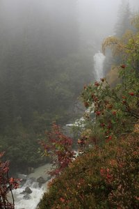 Burkhardklamm dekoriert mit herbstlichen Beeren.