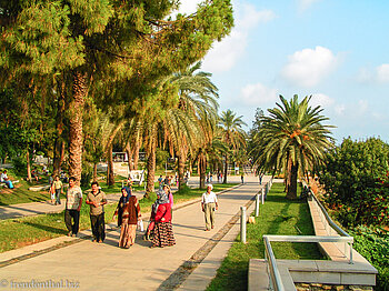 Kara Alioglu-Park