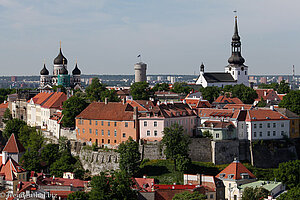 Aussicht über die Altstadt zum Schloss und der Kathedrale von Tallinn