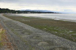 etwas rauhes Wetter am Qualicum Beach