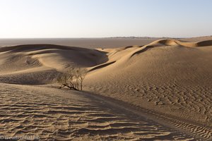 Aussicht über das Leere Viertel bei der Rub al-Khali im Oman