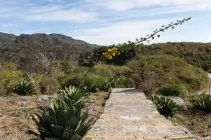 Mirador de Caribe