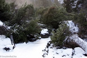 Der Weg von der Aussichtsplattform zurück nach unten.