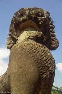 Ein Löwe bei Angkor Wat in Kambodscha