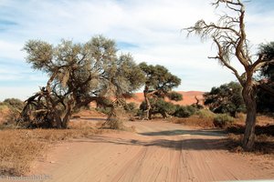 Fahrt zur Salzpfanne des Sossusvlei