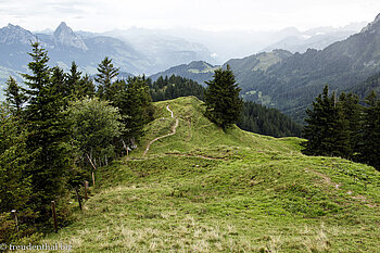 Wanderung von Scheidegg zum Urmiberg