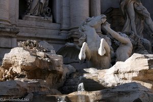 Meerespferde und Tritone an der Fontana di Trevi