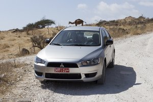 mit der Limousine auf der Piste zum Fazayah Beach im Oman