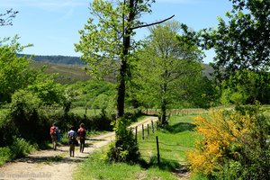 und wieder auf dem Feldweg