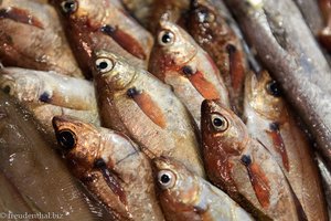 Fische im Mercado de Abastos