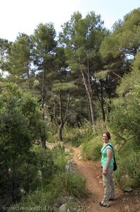 Annette auf unserer letzten Wanderung auf Mallorca