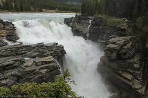 Athabasca River Falls