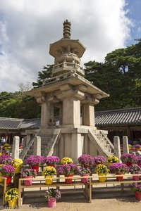 Dabotap Pagode umgeben von bunten Herbstastern