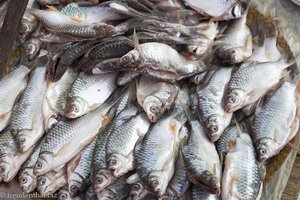 Fisch beim Fünf-Tage-Markt am Inle-See