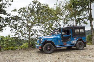 Willys Jeeps bringen uns von Salento in das Valle del Cocora.