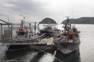Fangflotte der Tintenfischer im Hafen von Yunghwa