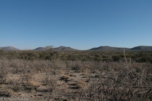 Savannenlandschaft