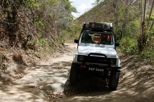 Jeep Safari Tobago