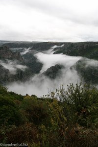 über den Wolken