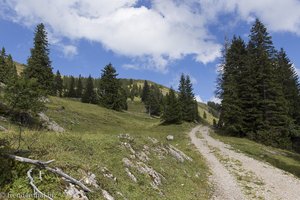 Blick zum Gelchenwanger Kopf