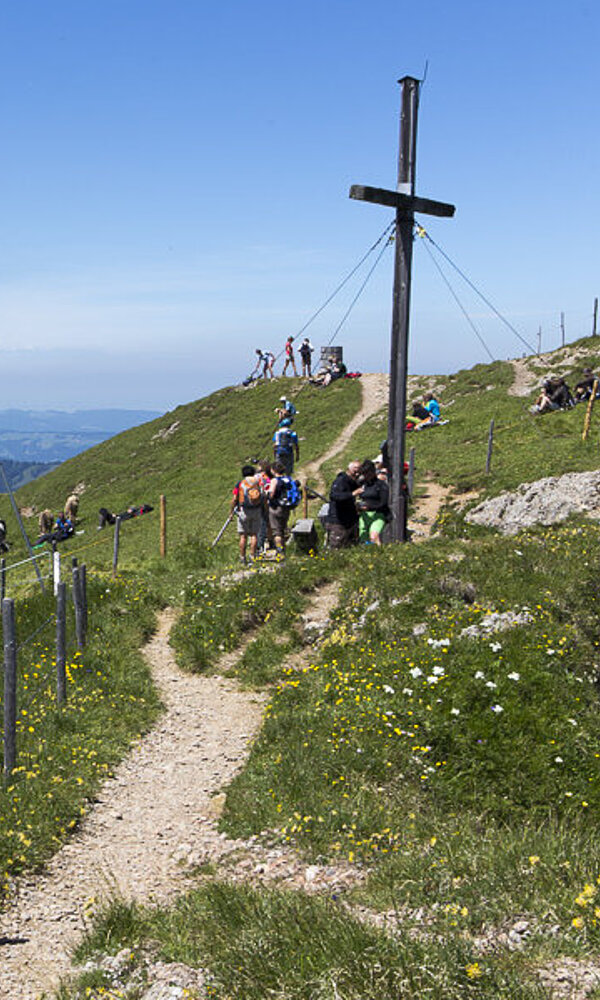 Gipfel des Nagelfluhbergs Stuiben