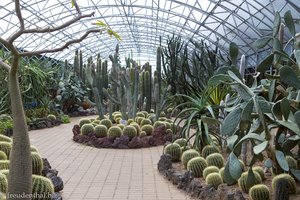 Kakteenhaus im Exotic Hallim Park