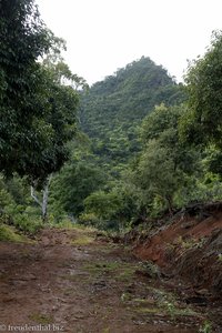 Wanderung zum Aussichtspunkt über den Nationalpark