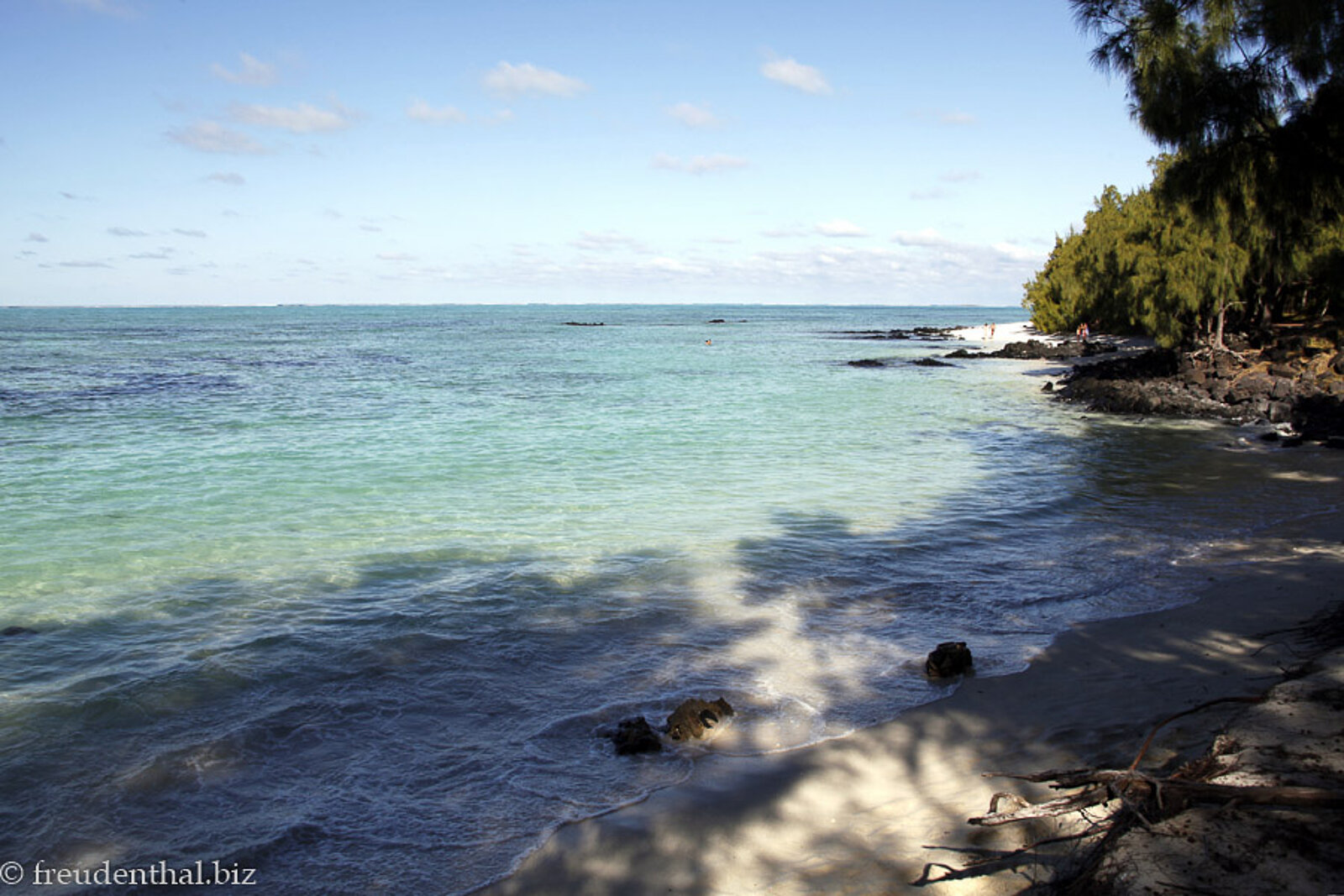 Schattiger Strand auf der Île aux Cerfs, Mauritius
