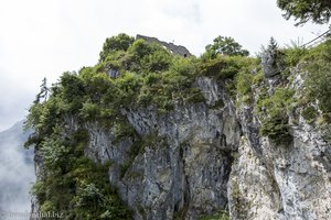 Ruine Falkenstein auf dem Felskopf