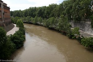 Tiber zwischen der Isola Tiberina und dem Stadtteil Capitolino