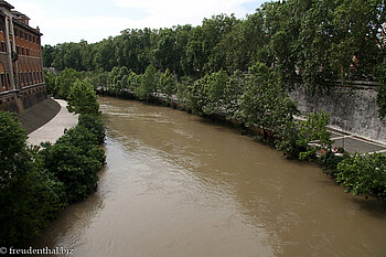 Tiber zwischen der Isola Tiberina und dem Stadtteil Capitolino